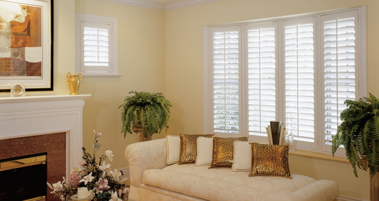 Minneapolis living room shutters